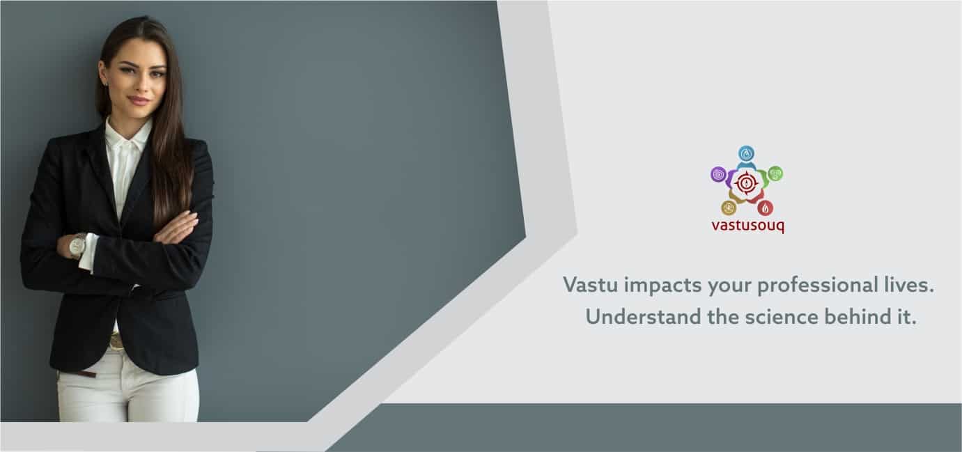 vastu expert for buying home helps in taking the decision